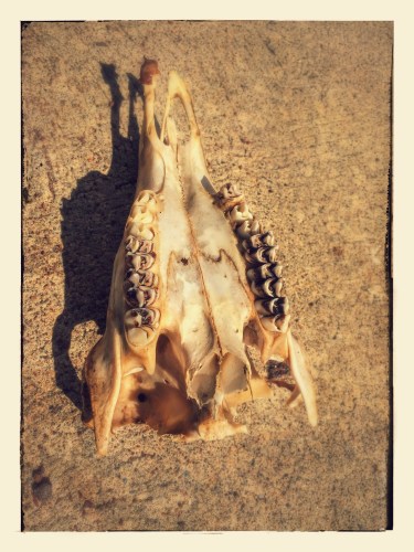 20150412_183210999_iOS