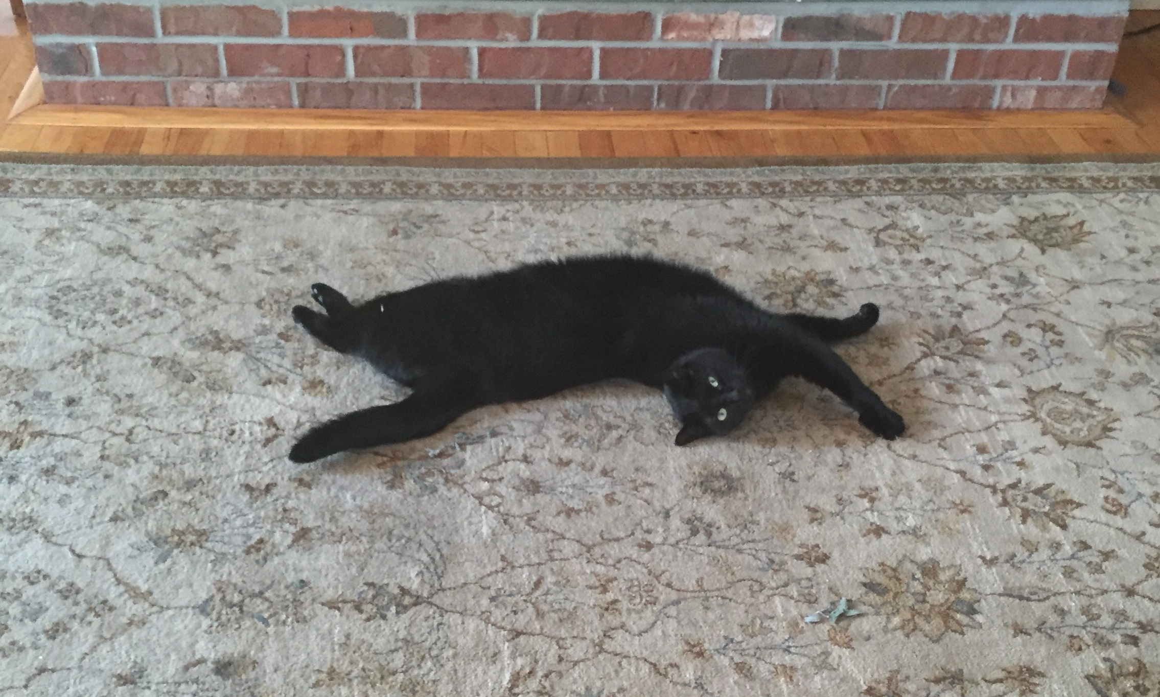 20160419_121546109_iOS