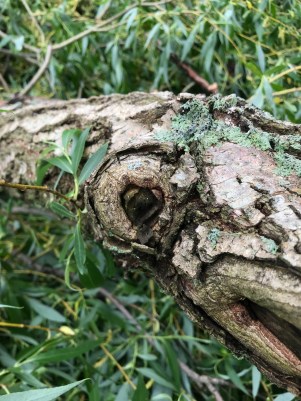 4A2F06D6-2734-4AD5-B959-BA5CB363977B