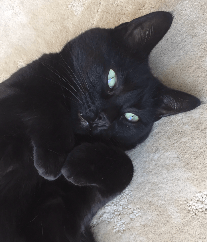 DA93CFDB-A7D9-4755-B205-E8973193C02F