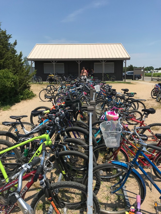 0551CF8F-D7CD-4702-B91B-E7D737B27362