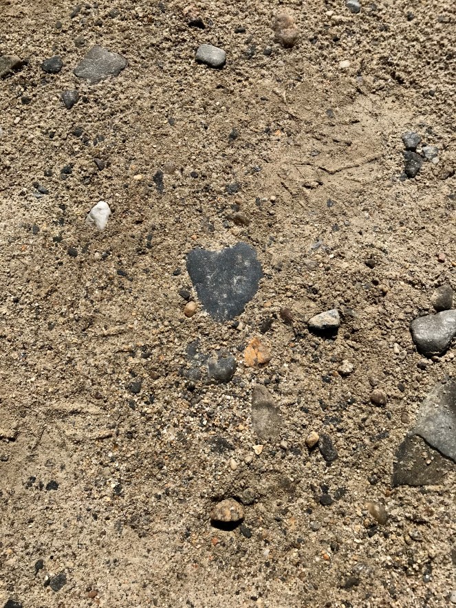 9E258F28-5B61-4913-9E21-11132FEE8354