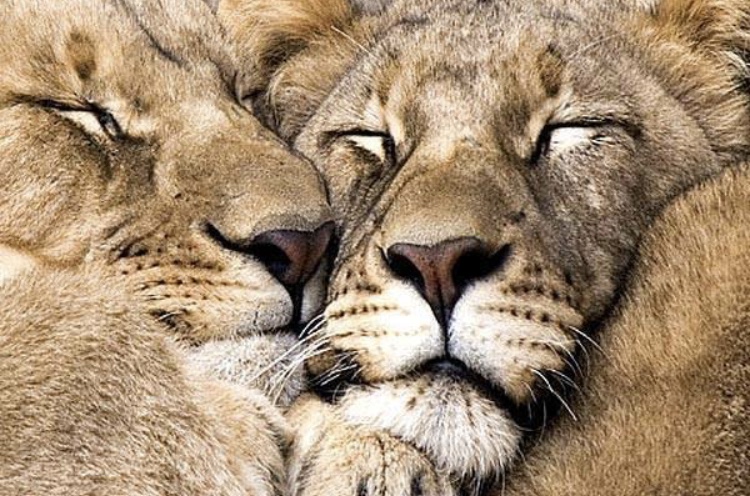 B4E3502F-73D9-4BC7-B1BA-AC003000B953