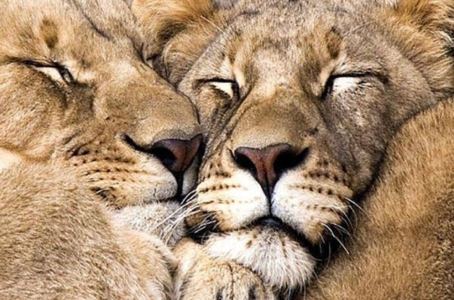 B4E3502F-73D9-4BC7-B1BA-AC003000B953