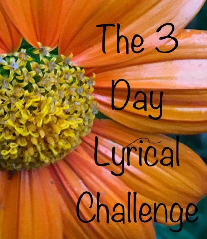 0F29BB52-A73A-42D7-B04F-5824756D1EB0