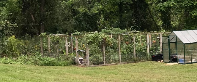 94F2B828-8494-452E-AC27-93981E062052