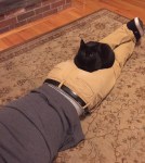 20160108_220334880_iOS