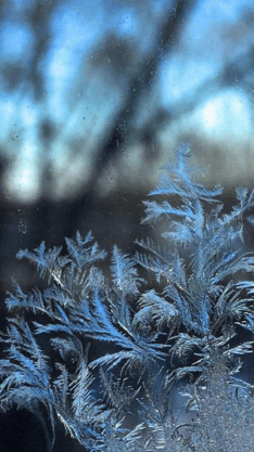 27CDBC66-3FDD-43A2-A921-3BBB6C34EA52