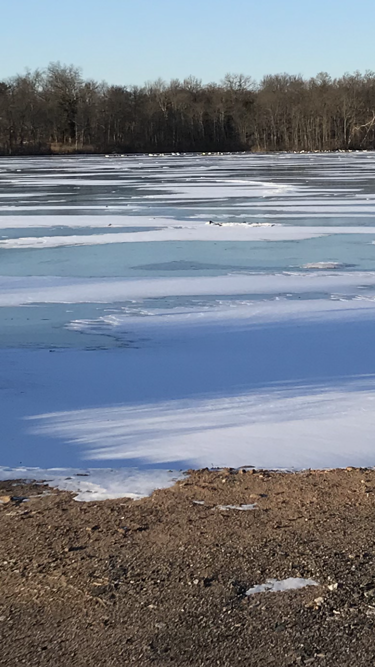 4D980662-FDA2-4811-A08B-E45785ADB734