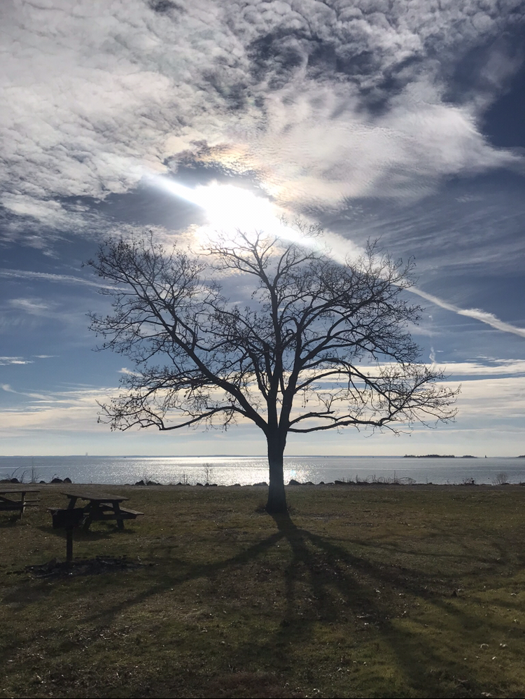 8F11B3CD-042D-4015-B492-7176CC753604