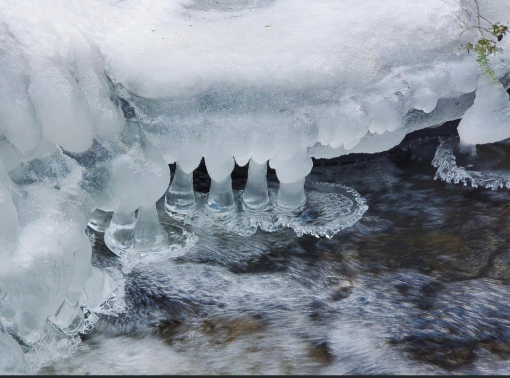 823344F6-0610-46D5-B4F6-56289FDF975B